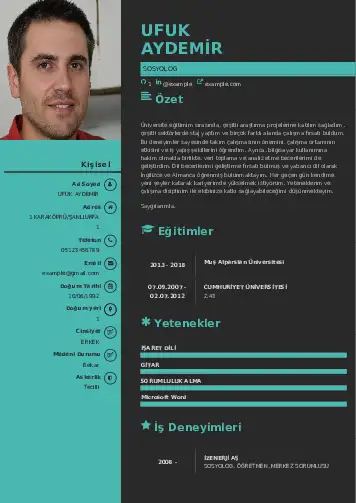 Sosyolog Cv Örnekleri cv indir